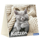 Preview: Katzenkalender 2027 mit entspannter Katze und Bibelvers