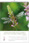 Preview: *Natur-Kalender 2026, 30 x 45 cm