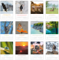Preview: *Natur-Kalender 2027, 30 x 45 cm