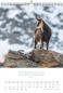 Preview: *Natur-Kalender 2027, 30 x 45 cm