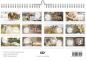 Preview: *@home 2027