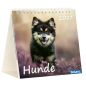 Preview: Hundekalender 2027 mit lebendigem Hundefoto und Bibelvers