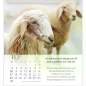 Preview: *Psalm 23, 2027