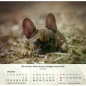 Preview: Hundekalender 2027 mit lebendigem Hundefoto und Bibelvers