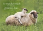 Preview: *Postkartenpäckchen „Psalm 23“