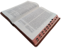 Preview: Standardbibel, Leder, hellbraun, Rotgoldschnitt, Griffregister, 15,2 x 22,5 x 3,0 cm