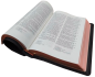 Preview: Standardbibel, Leder, schwarz, Rotgoldschnitt – Premium, 15,2 x 22,5 x 3,0 cm