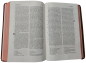 Preview: Standardbibel, Leder, hellbraun, Rotgoldschnitt, 15,2 x 22,5 x 3,0 cm