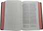 Preview: Standardbibel, Leder, hellbraun, Rotgoldschnitt mit Notizseiten, 15,7 x 23,0 x 5,5 cm