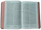 Preview: Taschenbibel, Rindleder hellbraun, Rotgoldschnitt, 13 x 18,3 x 2,9 cm