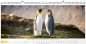Preview: Panoramakalender XL 2027 – Hochwertiger Wandkalender mit Bibelversen, brillanten Bildern und silberner Spiralbindung.