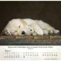 Preview: Hundekalender 2027 mit lebendigem Hundefoto und Bibelvers