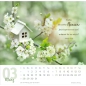 Preview: Tischkalender „Meine Zeit“ 2027 mit Bibelvers und ausdrucksstarkem Foto