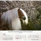 Preview: Pferdekalender 2027 mit eindrucksvollem Pferdefoto und Bibelvers