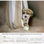Preview: Hundekalender 2027 mit lebendigem Hundefoto und Bibelvers