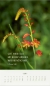 Preview: Zarte Blumengrüße Posterkalender