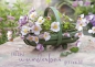 Preview: *Postkartenpäckchen „Wir feiern im Garten“