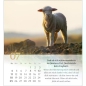 Preview: *Psalm 23, 2027
