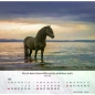 Preview: Pferdekalender 2027 mit eindrucksvollem Pferdefoto und Bibelvers