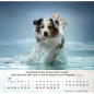 Preview: Hundekalender 2027 mit lebendigem Hundefoto und Bibelvers