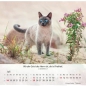 Preview: Katzenkalender 2027 mit entspannter Katze und Bibelvers
