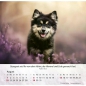 Preview: Hundekalender 2027 mit lebendigem Hundefoto und Bibelvers