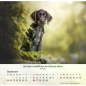 Preview: Hundekalender 2027 mit lebendigem Hundefoto und Bibelvers