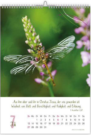 *Natur-Kalender 2026, 30 x 45 cm