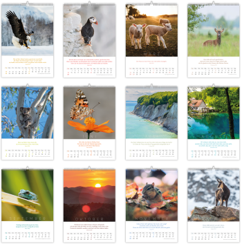 Preview: *Natur-Kalender 2027, 30 x 45 cm