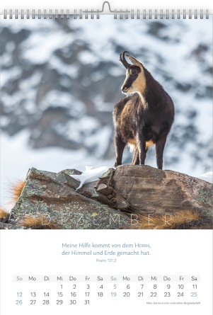 Preview: *Natur-Kalender 2027, 30 x 45 cm
