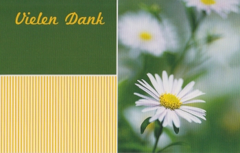 *Faltkarte „Danke“ Kolosser 3,17
