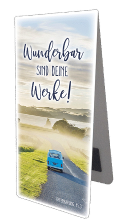 *Magnetlesezeichen
