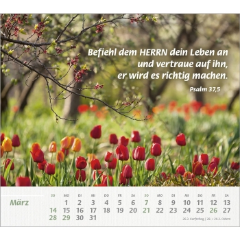 *Du bist meine Stärke, 2027