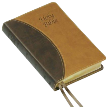*King James-Übersetzung, braun, englisch