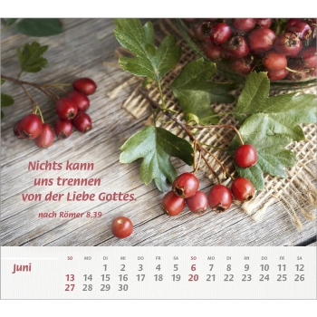 *Du bist meine Stärke, 2027