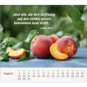 *Du bist meine Stärke, 2027
