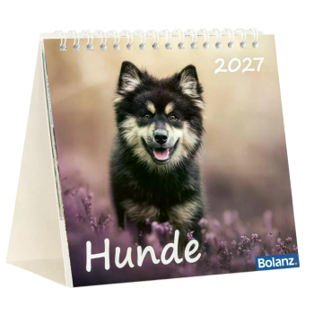 Hundekalender 2027 mit lebendigem Hundefoto und Bibelvers