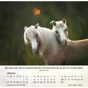 Pferdekalender 2027 mit eindrucksvollem Pferdefoto und Bibelvers