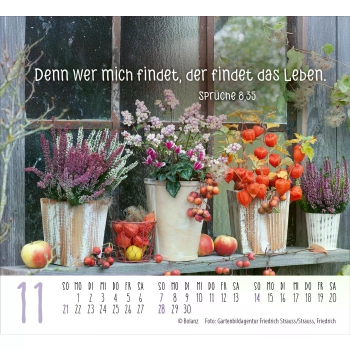*Harmonien, Aufstellkalender 2027
