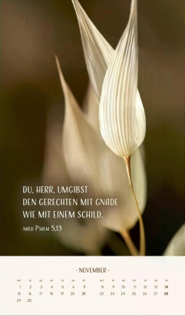 Zarte Blumengrüße Posterkalender
