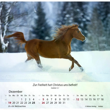 Pferdekalender 2027 mit eindrucksvollem Pferdefoto und Bibelvers