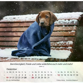 Hundekalender 2027 mit lebendigem Hundefoto und Bibelvers