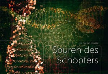 *Spuren des Schöpfers