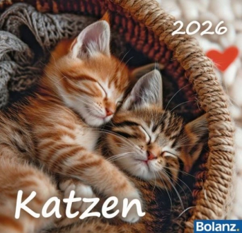 *Katzen, 2026