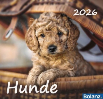 *Hunde, 2026