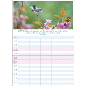 *Multiplaner 2026, 5-spaltig