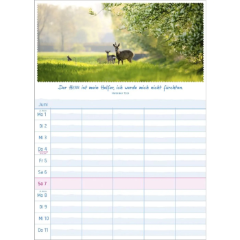 *Multiplaner 2026, 5-spaltig