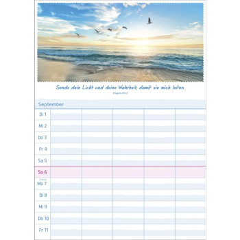 *Multiplaner 2026, 5-spaltig