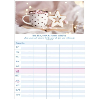 *Multiplaner 2026, 5-spaltig