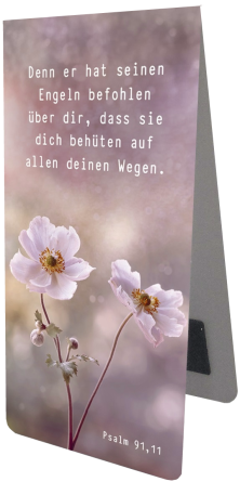 *Magnetlesezeichen